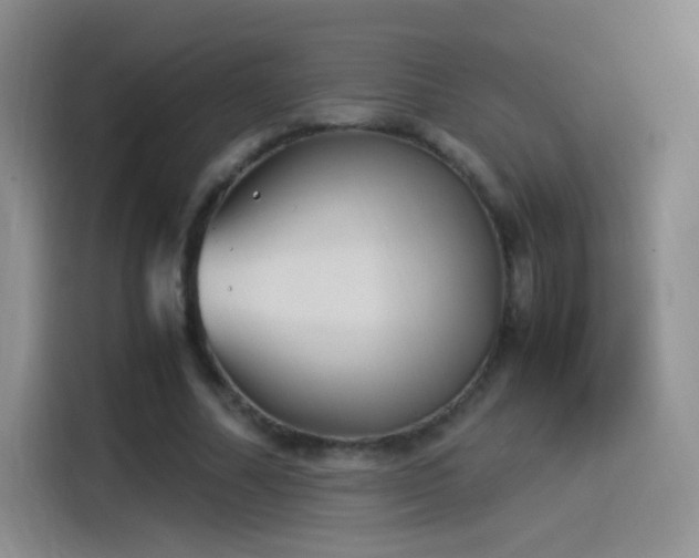 X0000115280682200911061328