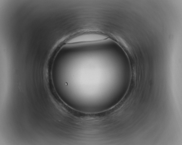 X0000115280684200911061328