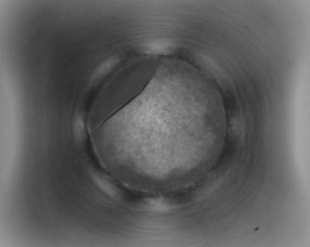 X0000115280688200911061328