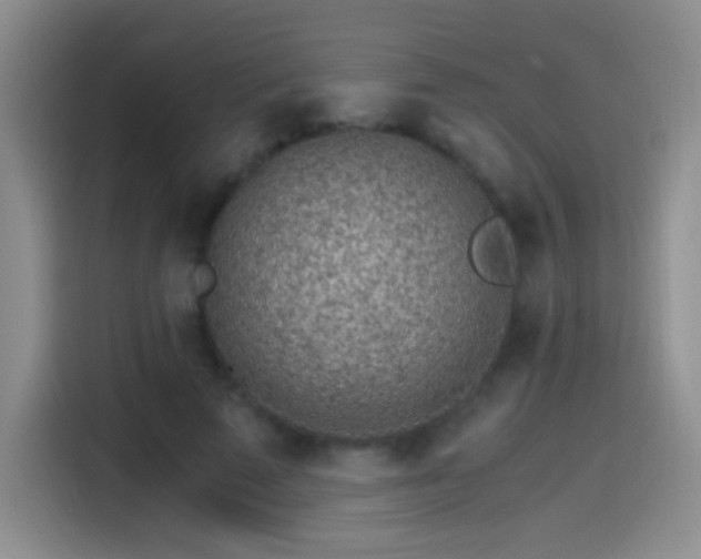 X0000115280689200911061328
