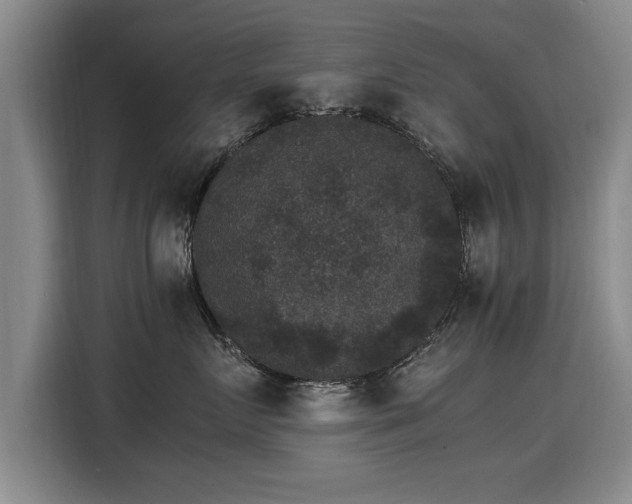 X0000115280719200911061328