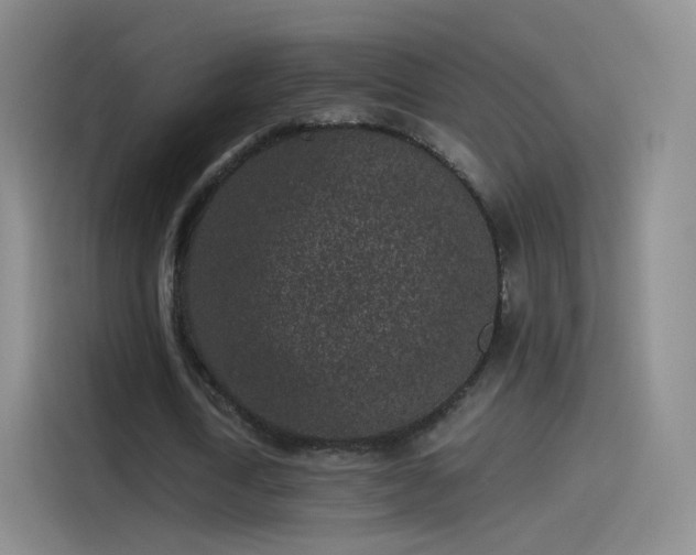 X0000115280722200911061327