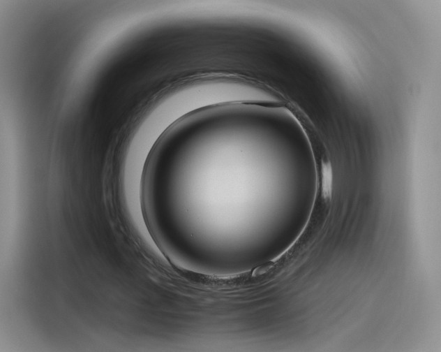 X0000115280723200911061327
