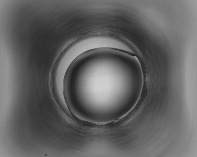 X0000115280725200911061327