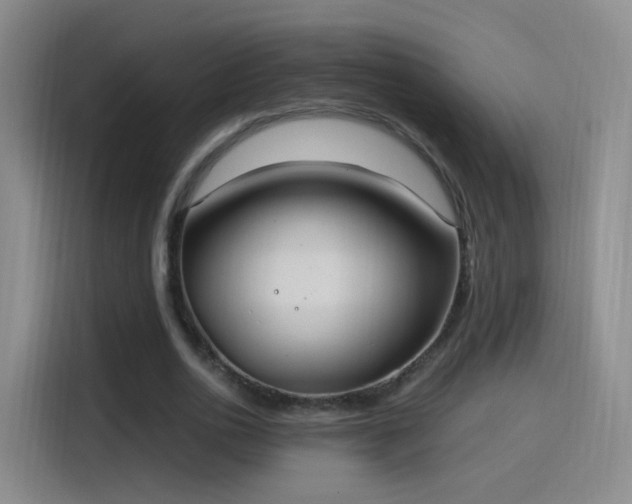 X0000115280726200911061327