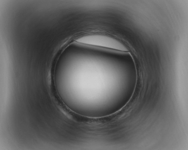 X0000115280729200911061327