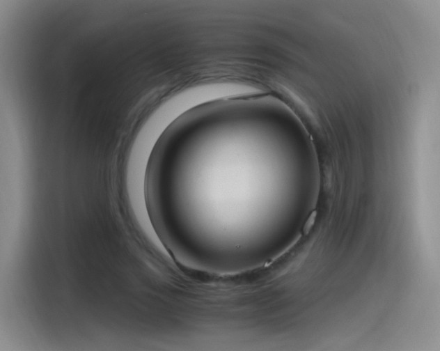 X0000115280733200911061327