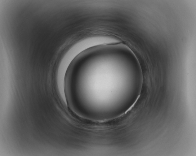 X0000115280735200911061327