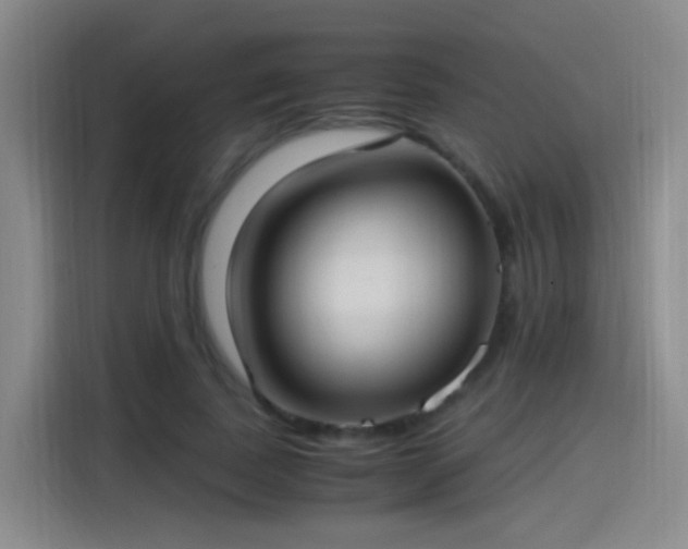 X0000115280739200911061327
