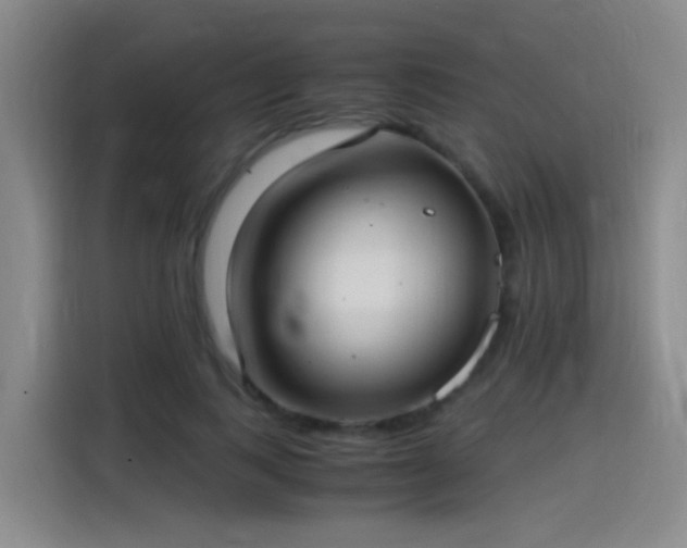 X0000115280743200911061327