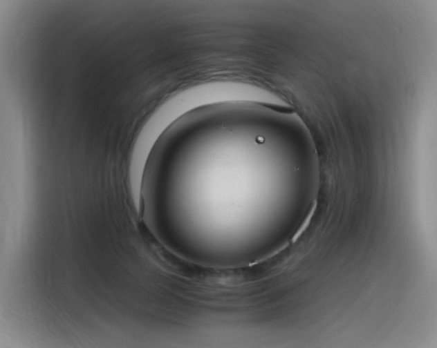 X0000115280745200911061327