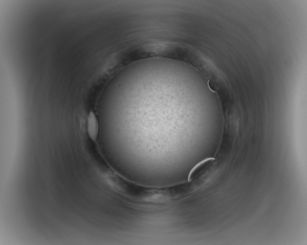 X0000115280750200911061328