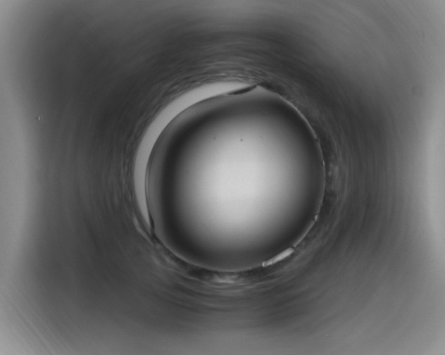 X0000115280753200911061328