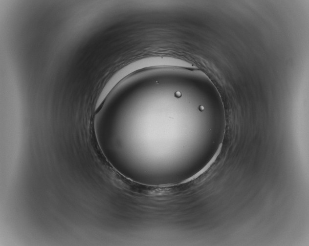 X0000115280761200911061328