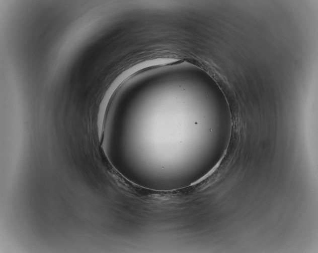 X0000115280763200911061328
