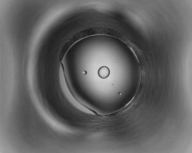 X0000115280765200911061328