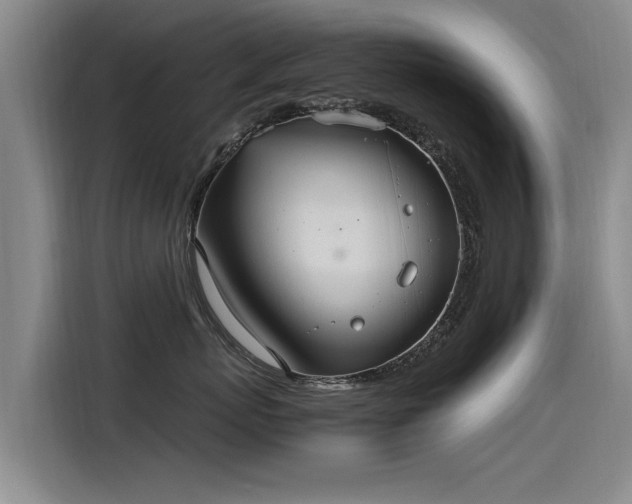 X0000115280767200911061328