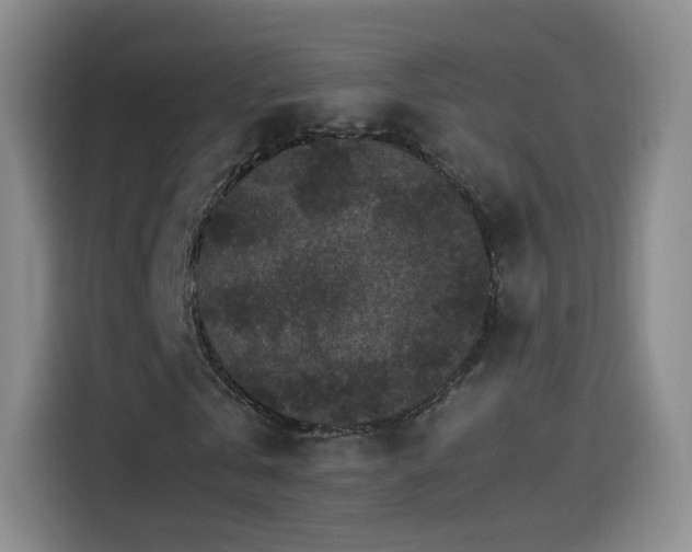 X0000115280769200911061327