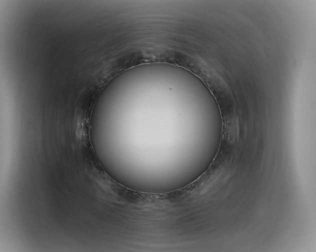 X0000115280770200911061327