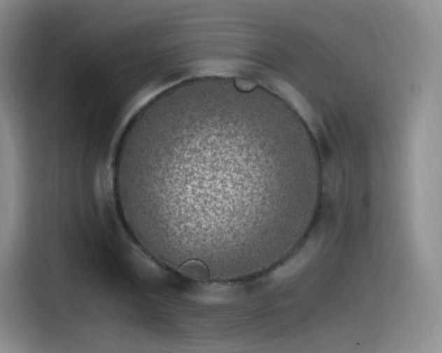 X0000115280779200911061327