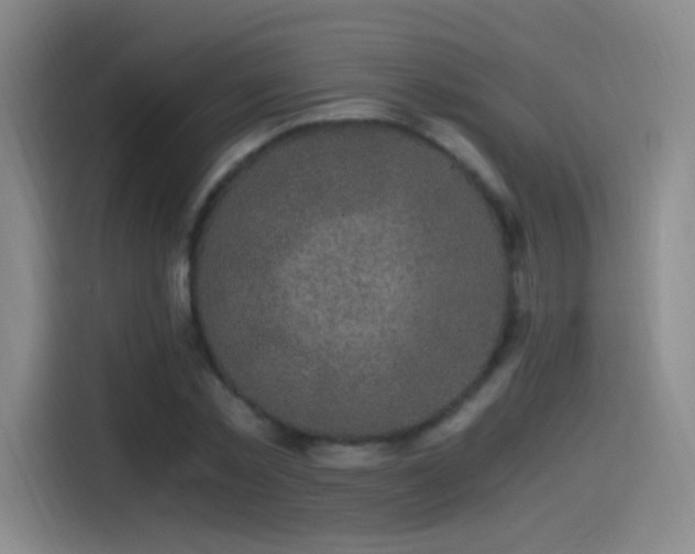 X0000115280781200911061327