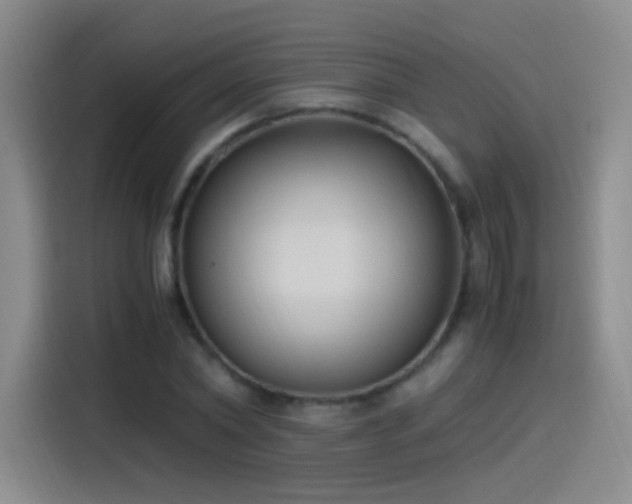 X0000115280782200911061327