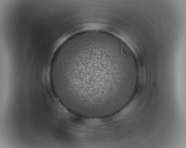 X0000115280783200911061327