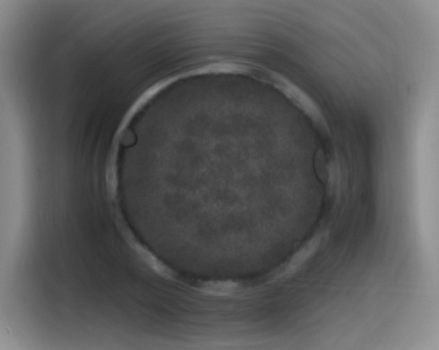 X0000115280784200911061327