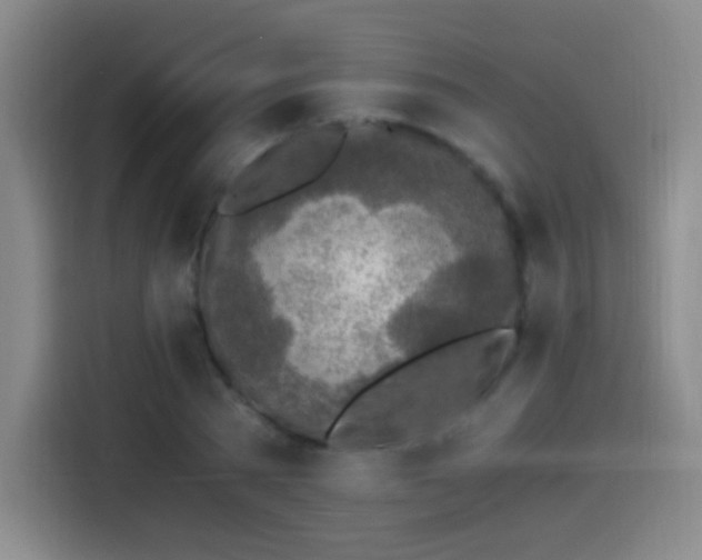 X0000115280785200911061327