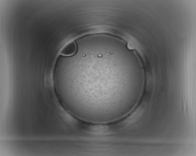 X0000115280789200911061327