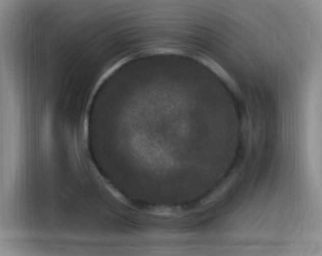 X0000115280790200911061327