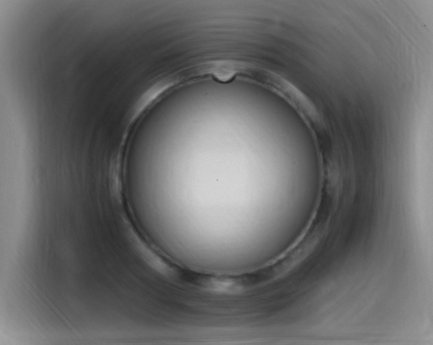 X0000115280794200911061327