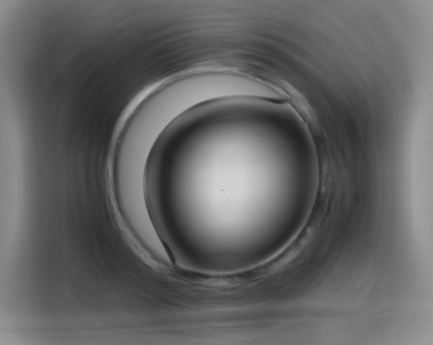 X0000115280796200911061327
