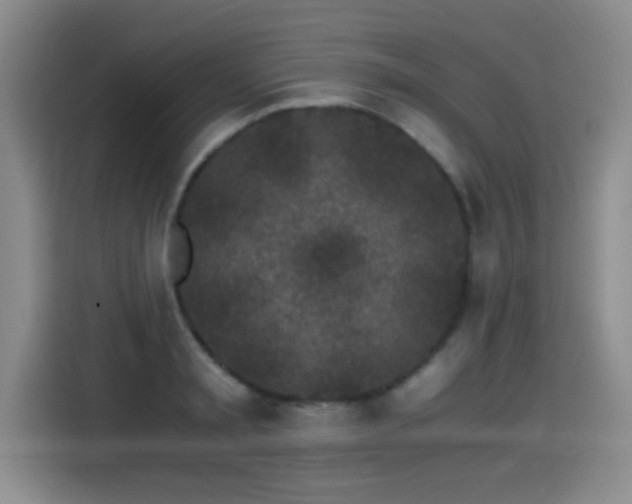 X0000115280797200911061327
