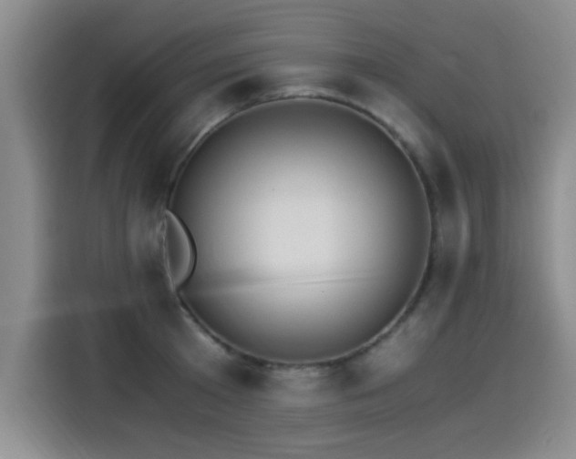 X0000115280801200911061327