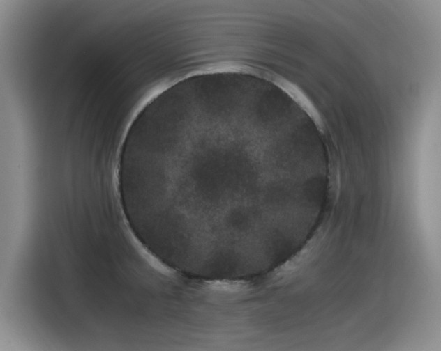 X0000115280805200911061327
