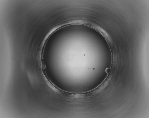 X0000115280808200911061327
