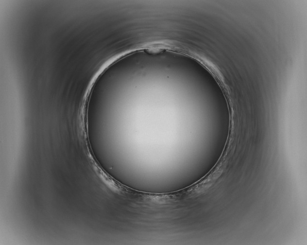 X0000115280816200911061327