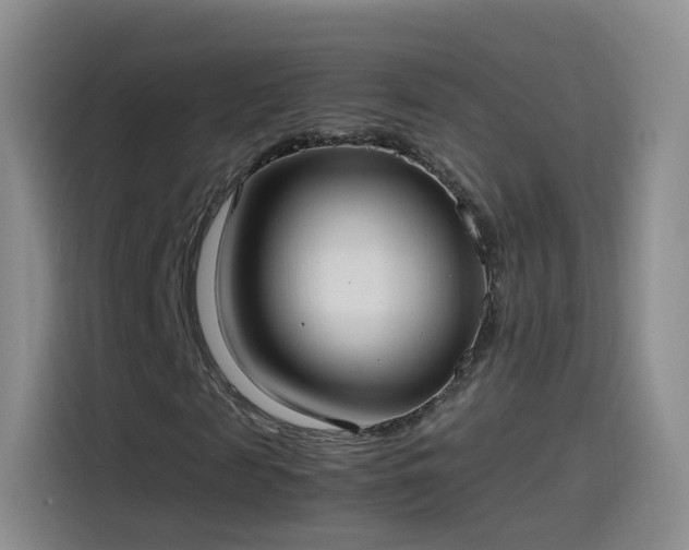 X0000115280817200911061326