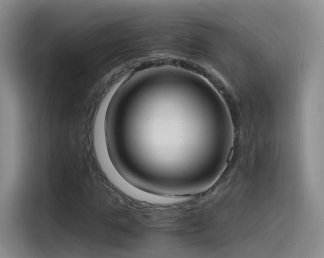 X0000115280821200911061326