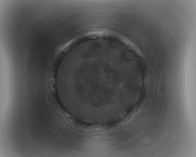 X0000115280822200911061326