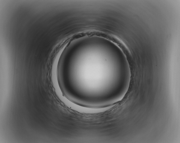 X0000115280823200911061326