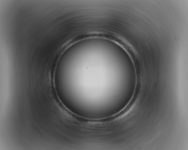 X0000115280825200911061326