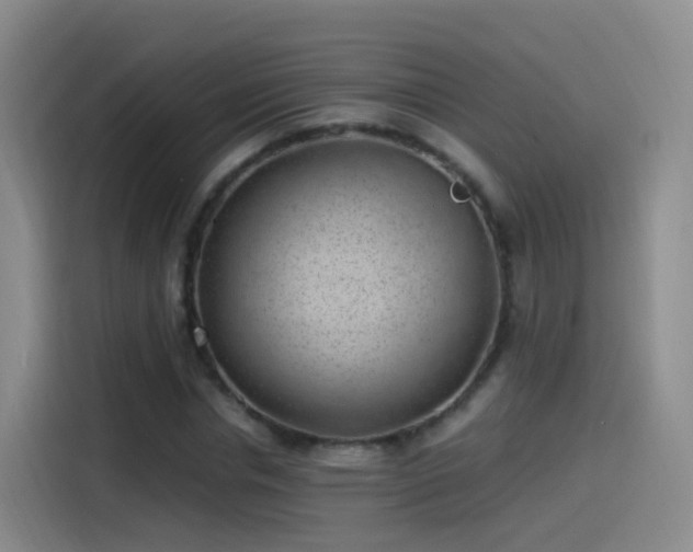 X0000115280826200911061326