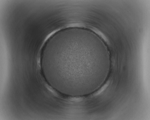 X0000115280830200911061326