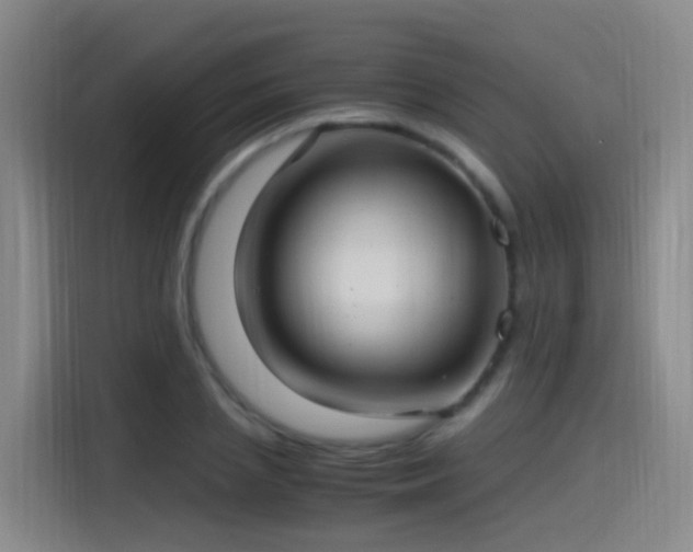 X0000115280837200911061326
