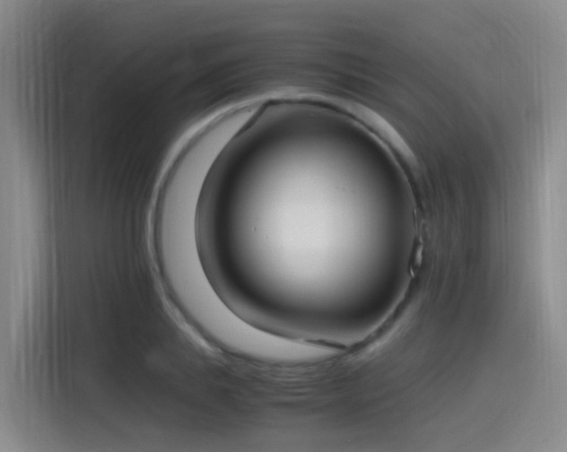 X0000115280839200911061326