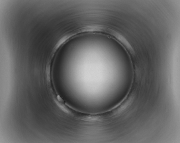 X0000115280842200911061326