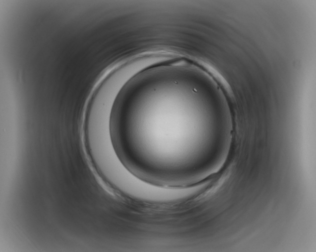 X0000115280845200911061326
