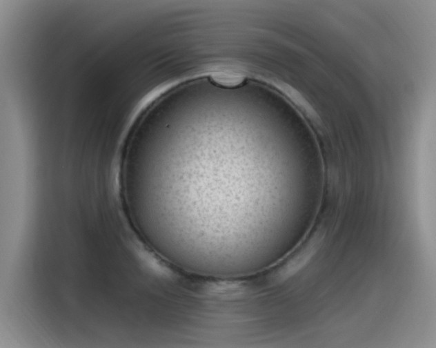 X0000115280846200911061326